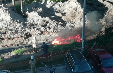 У города Сертолово загорелись водяные трубы